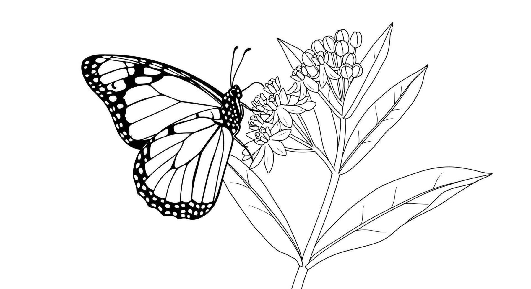 Coloring page of a Swallowtail butterfly with its distinctive tail wings vector