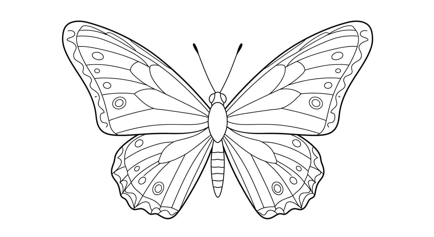 Coloring page featuring a butterfly at rest with its wings folded together vector