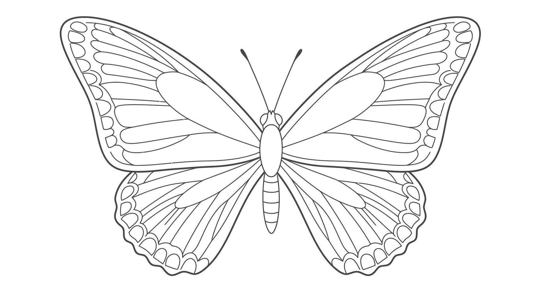 coloring page of a butterfly at rest with its wings folded together vector