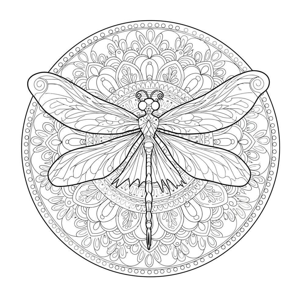 A dragonfly coloring page with a mandala design vector