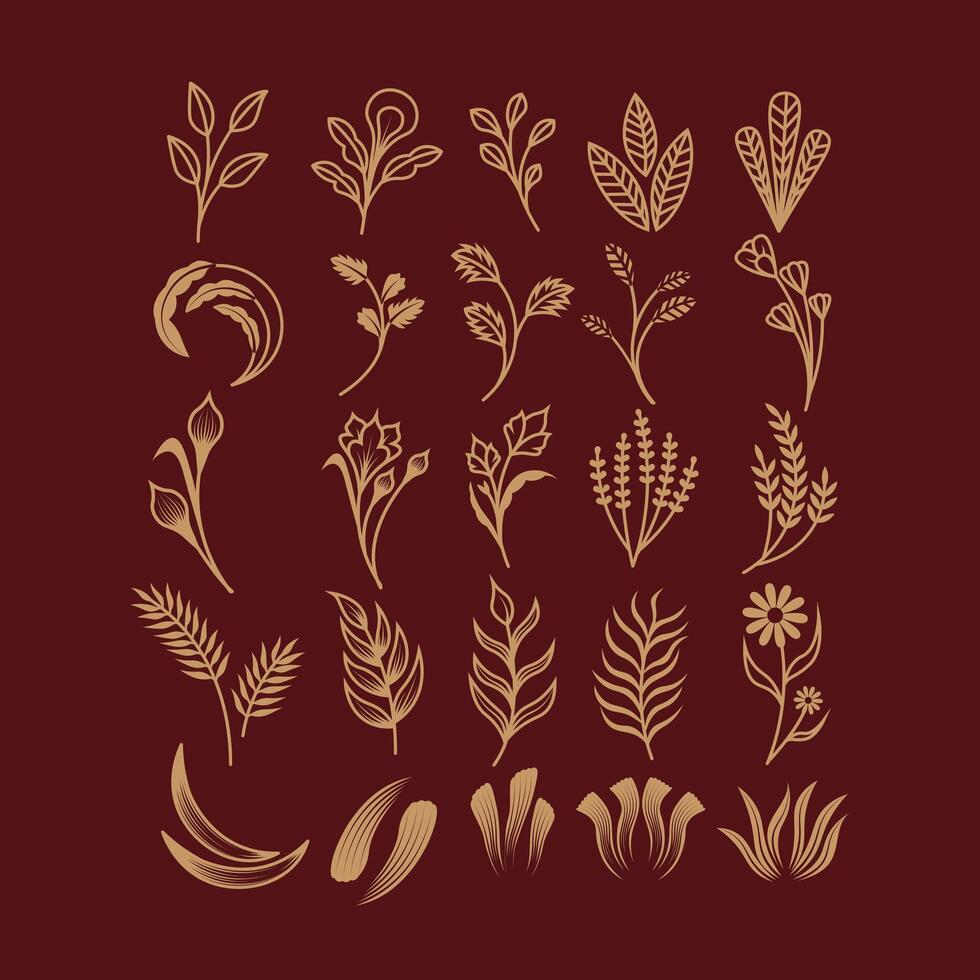 Set of Ornament Plant Illustration vector