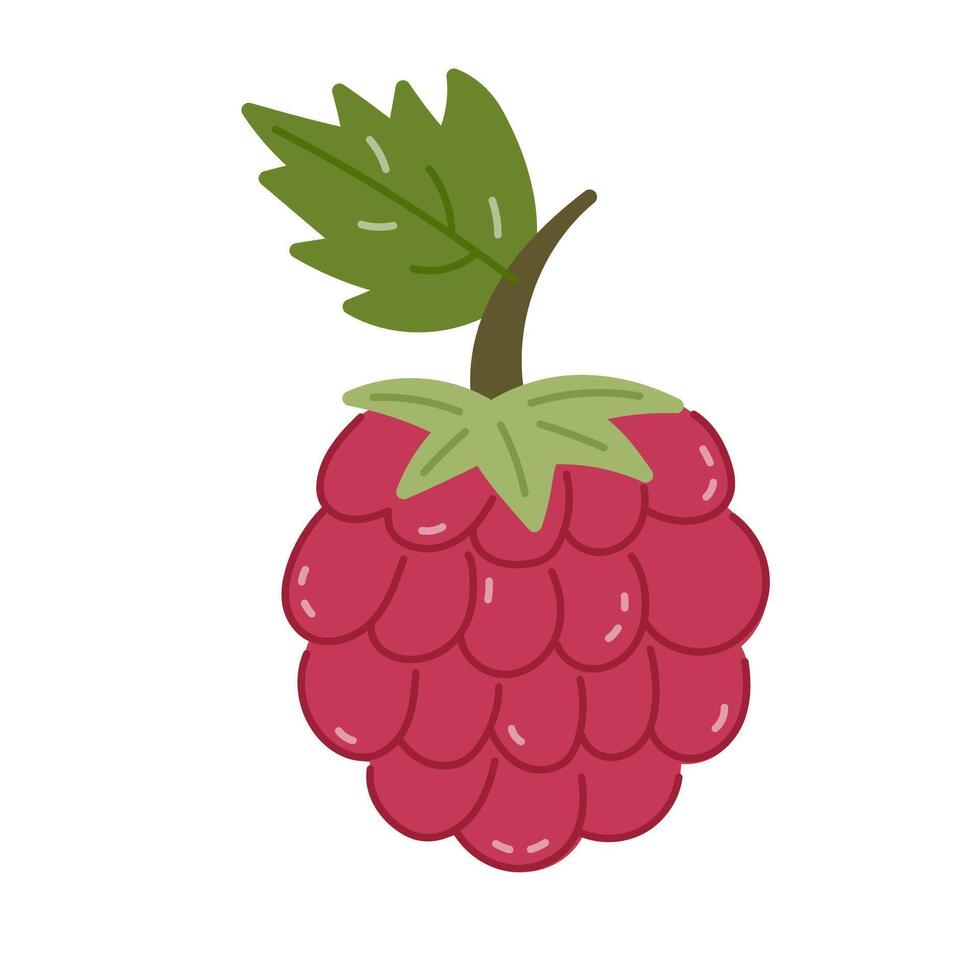 Lovely cartoon garden and forest raspberry with stem and leaves. Childish colorful berry isolated on white background. Summertime heathy fruit for poster design, branding packaging, cafe menu. vector