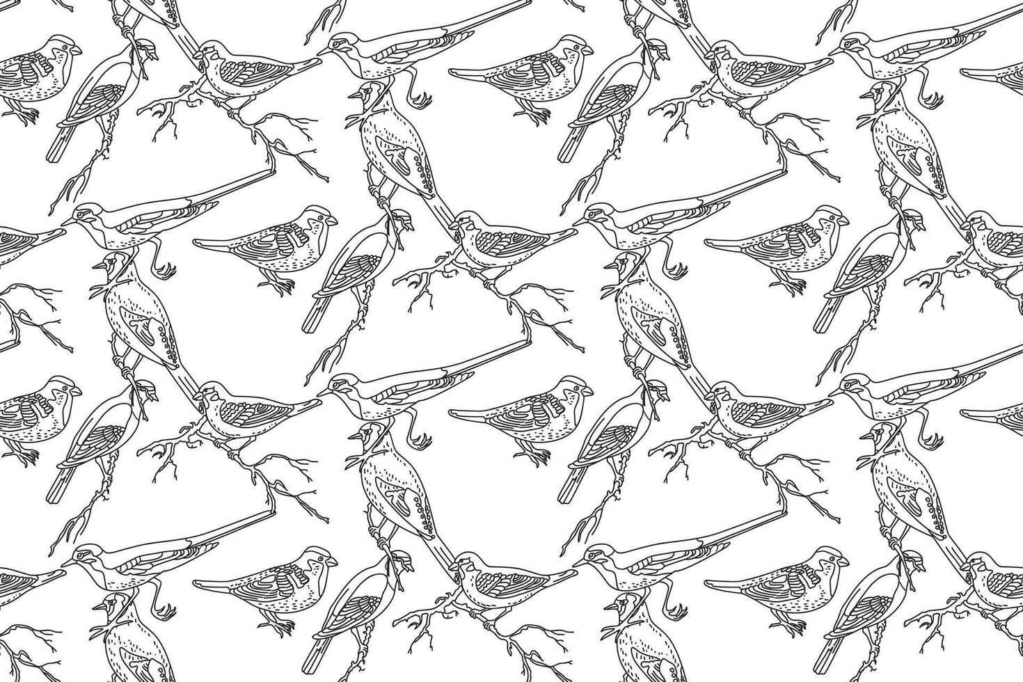 Line art seamless pattern with garden birds illustration. Hand drawn outline repeating pattern different birds background. Graphic design for Cover Coloring Page Textile Fashion Print Card vector