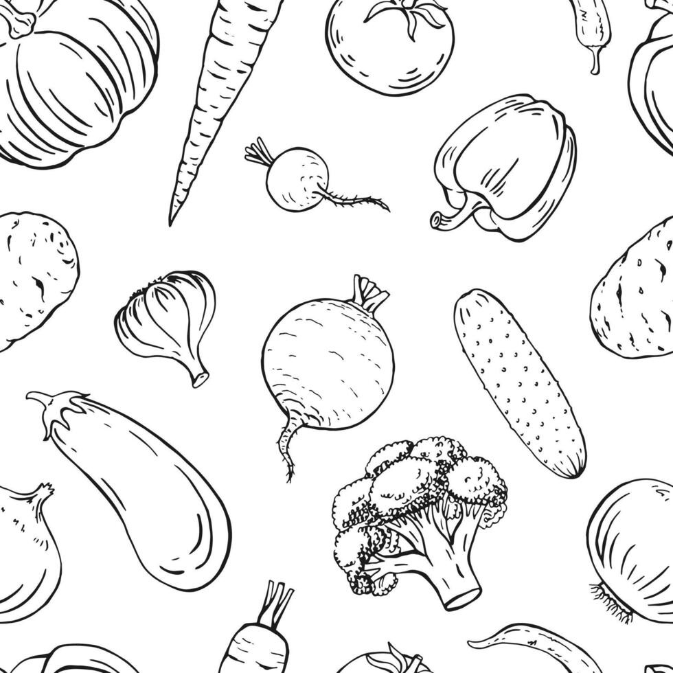 Seamless pattern with vegetable. Hand drawn illustration. vector