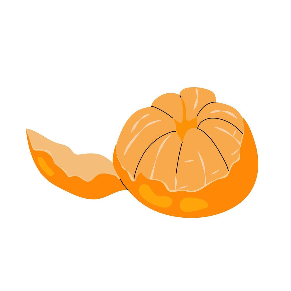 Ripe tangerine. Peeled tangerine. Citrus orange fruit. Aromatic sweet tangerine. Flat illustration on white background. vector