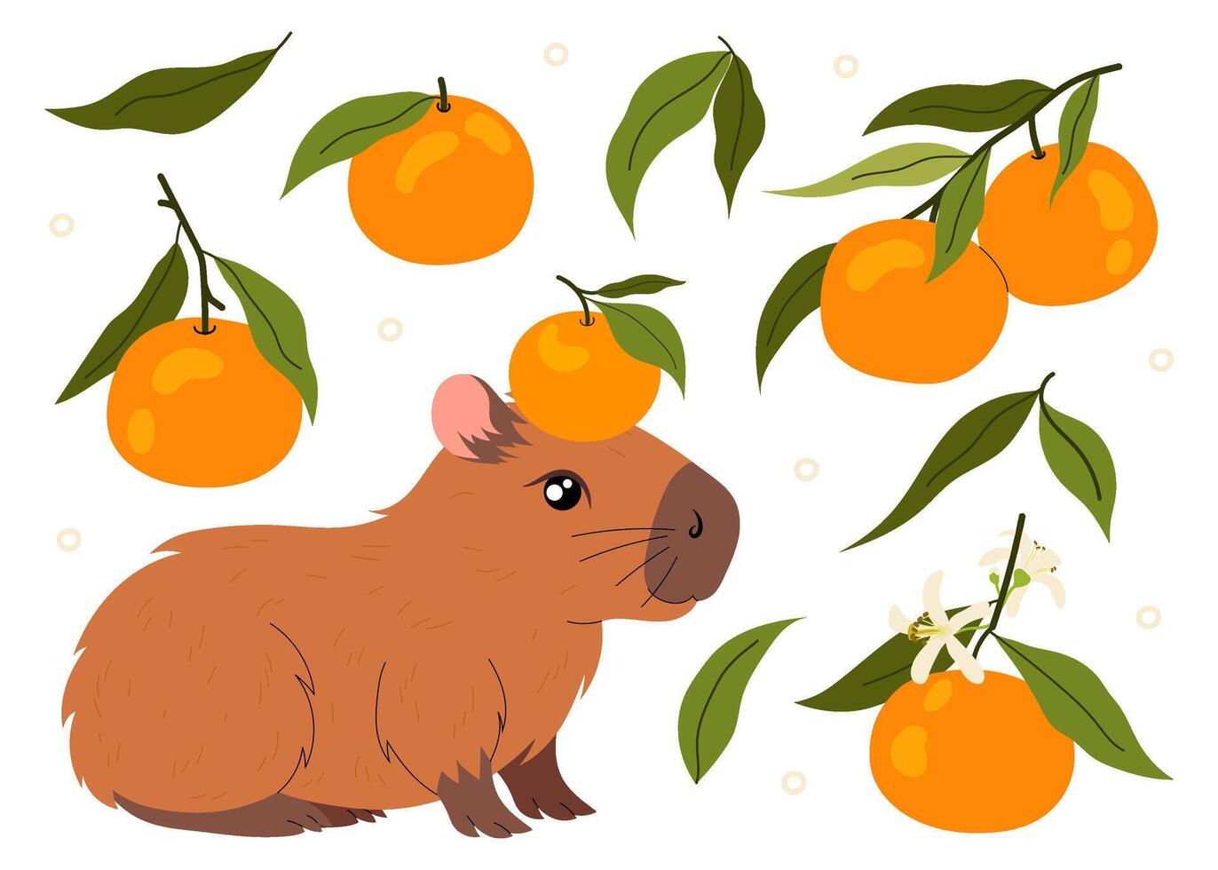 Funny capybara with tangerine on head. Kawaii herbivorous rodent. Ripe tangerine on twig. Citrus orange fruit. Aromatic sweet tangerine with green leaves. vector
