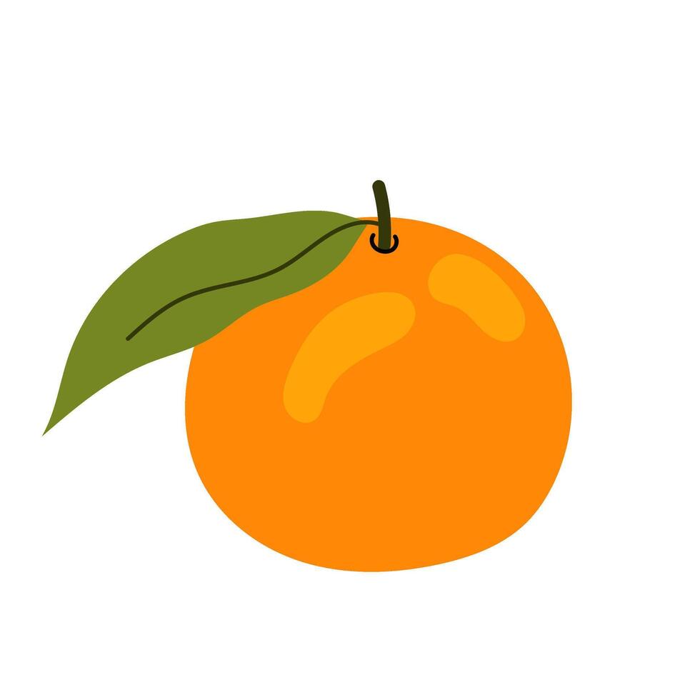 Ripe mandarin. Citrus orange fruit. Aromatic sweet tangerine with green leaves. Flat illustration on white background. vector