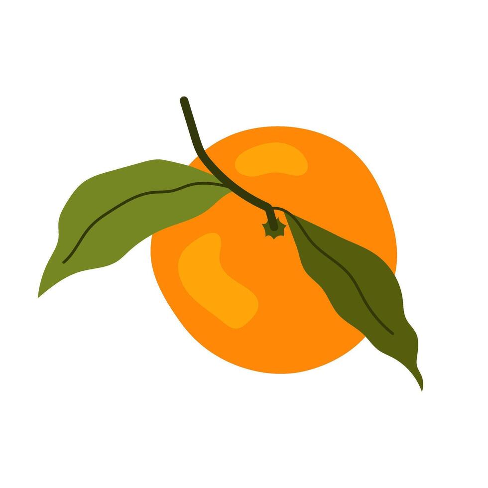 Ripe tangerine. Citrus fruit. Aromatic sweet mandarin with green leaves. Flat illustration on white background. Top view. vector