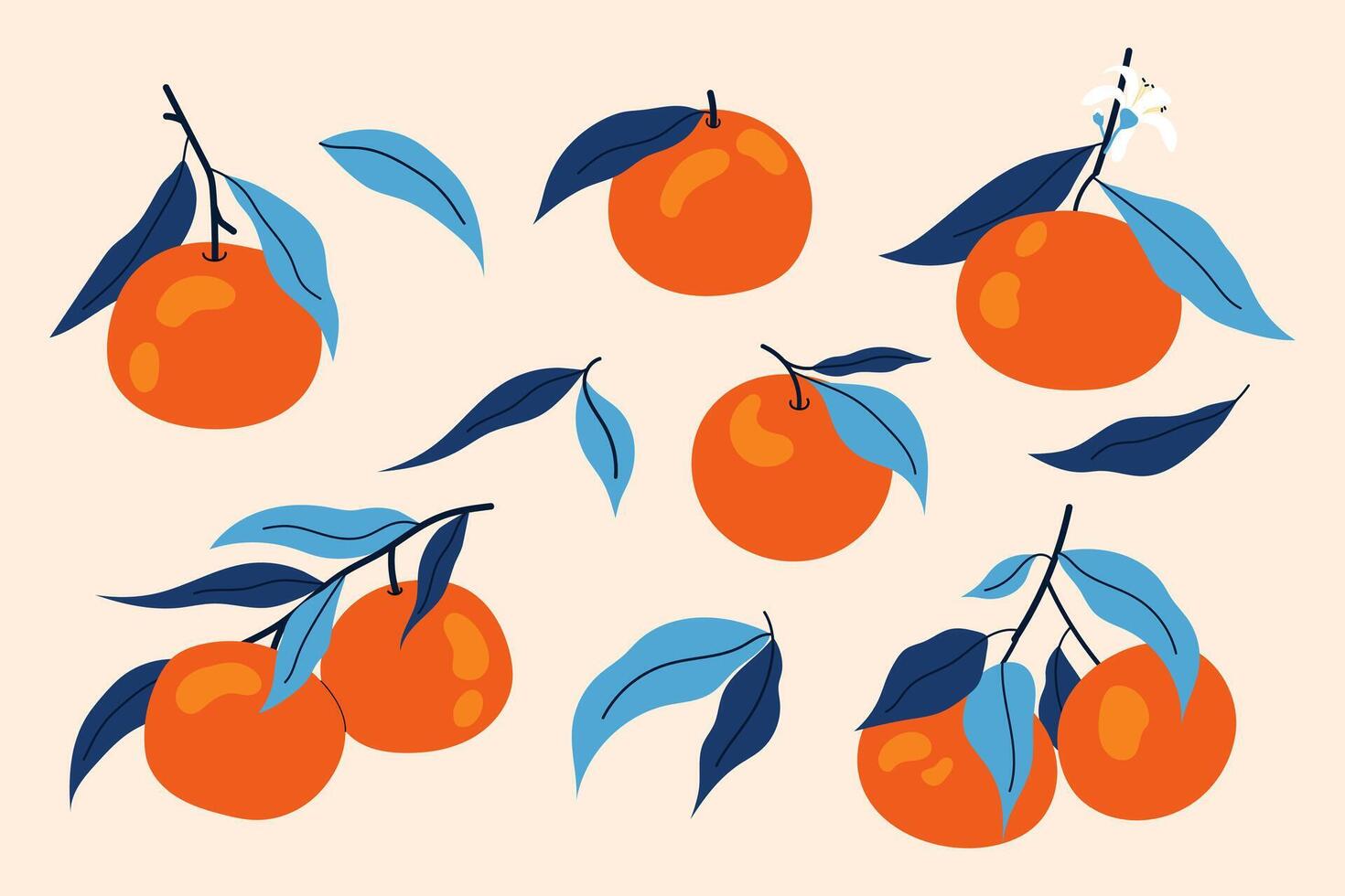 Tangerine on branch. Decorative citrus fruit with blue leaves. Set flat illustrations ripe mandarin beige background. vector