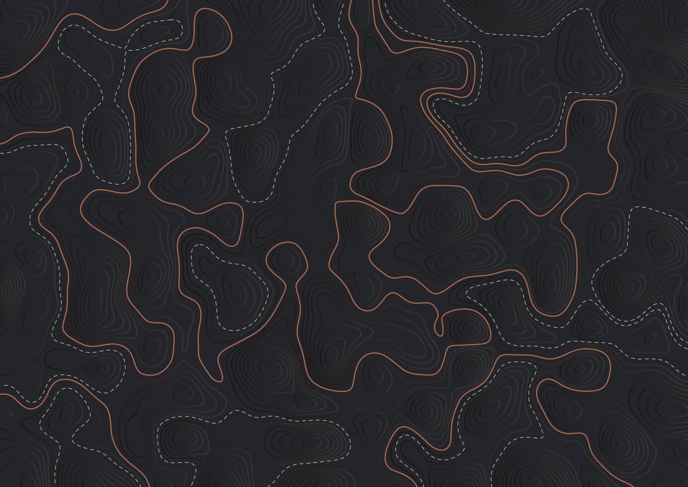Abstract background with a detailed topography map design vector
