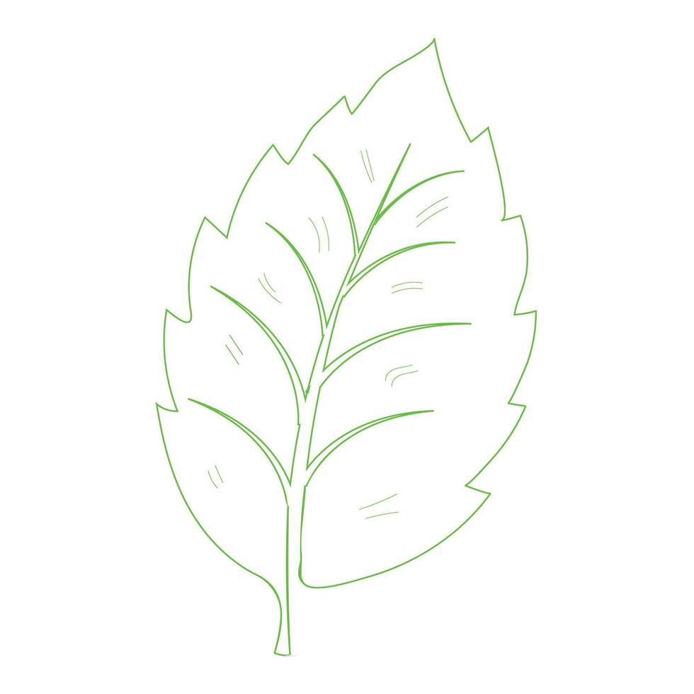 Composition of paper style olympics shapes, Green circular laurel leaves use for winner trophy Set of green laurel wreath logo template icon illustration design vector