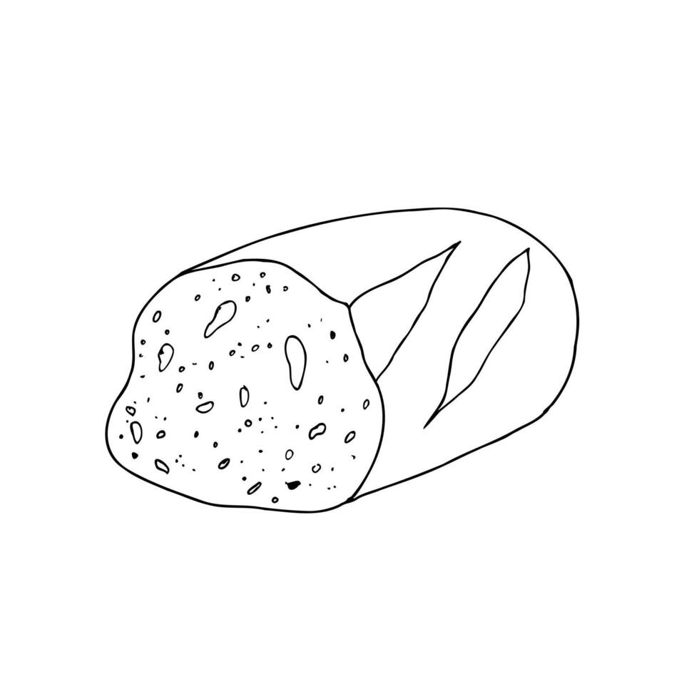 slice of bread, bakery. Graphic ink loaf food, whole grain bread, ciabatta, brown homemade, baguette. Bun illustration isolated on background. Hand drawn line sketch. For designers, prints vector