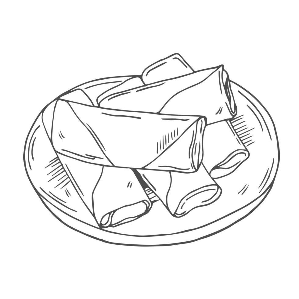 Spring rolls Chinese dish, hand drawn illustration, isolated sketched design. vector