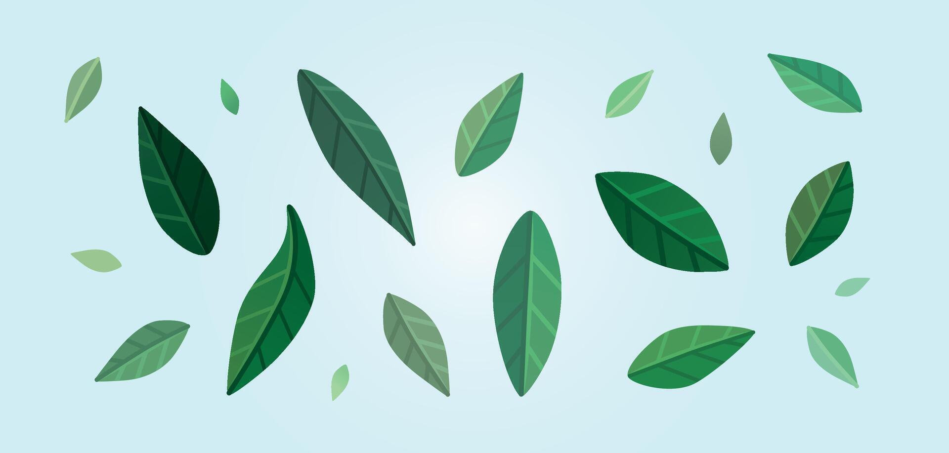Cold green leaves set vector