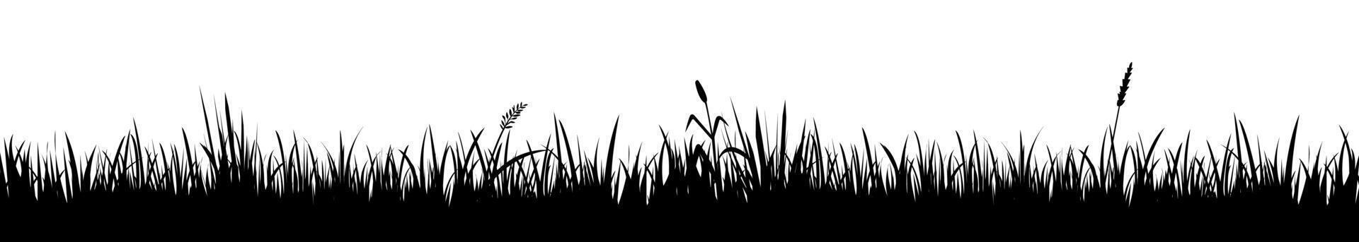 black silhouette of grass on white background vector