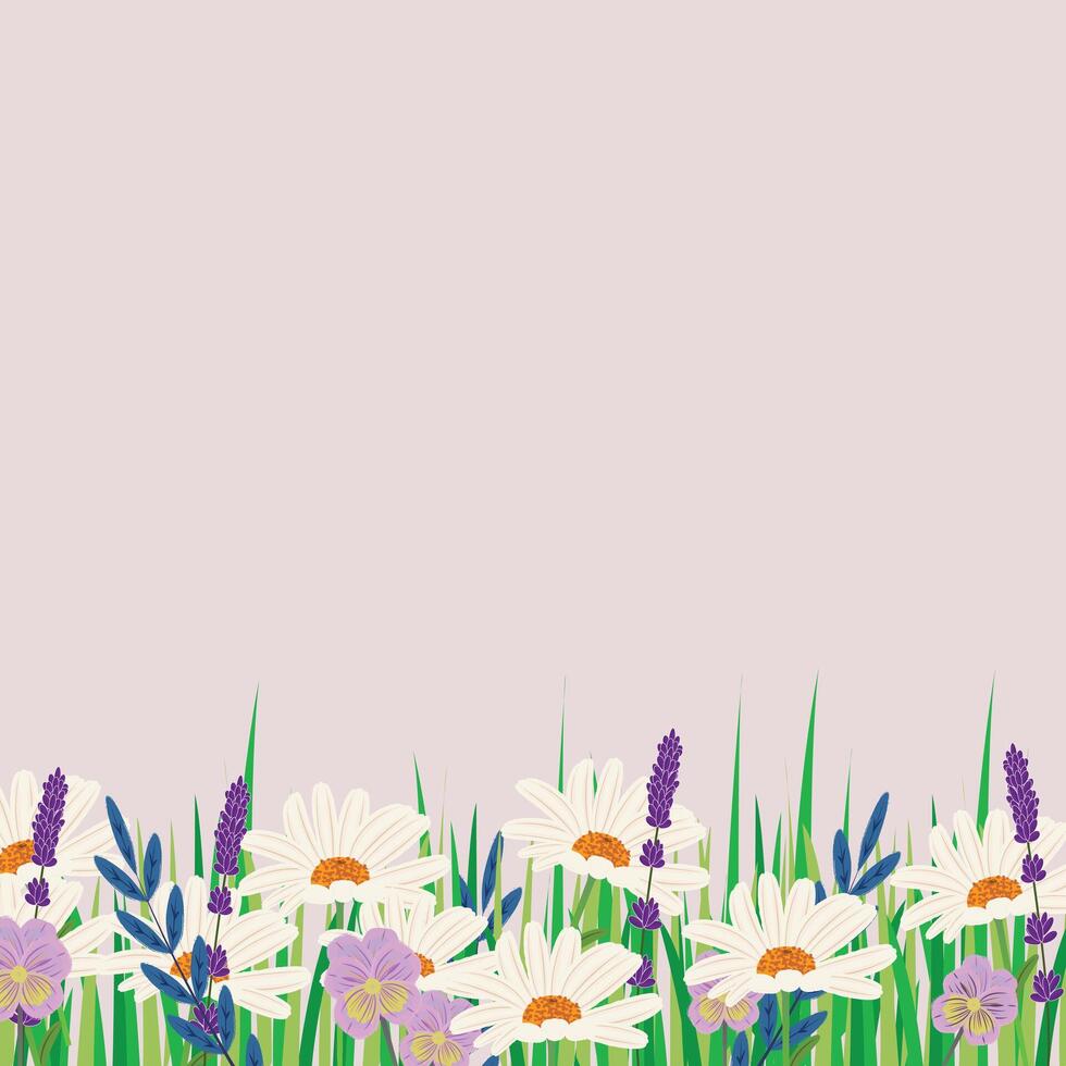 Floral square design featuring chamomile, grass, violets, lavender, and leaves along the bottom edge vector