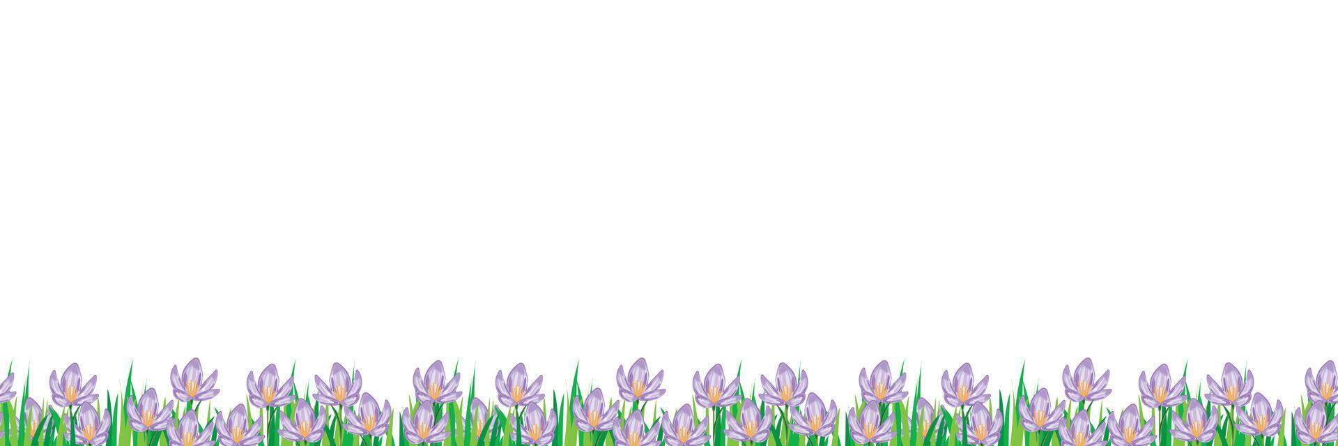 Horizontal seamless pattern featuring crocus flowers at the bottom, with space above for custom designs vector