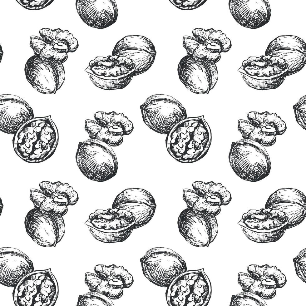 Hand drawn walnut sketch illustration. Seamless pattern walnut kernel, whole walnut, shell sketch icon. Fresh organic food, oil. Black and white nut drawing. Isolated on white background. vector