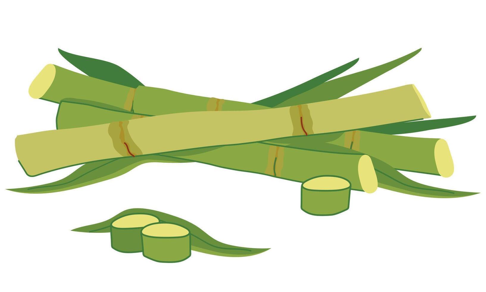 Sugar cane with green leaves and yellow stems. illustration. Cut out reed shoots in flat style on a white background. Ingredient for making sugar, syrup, rum. vector
