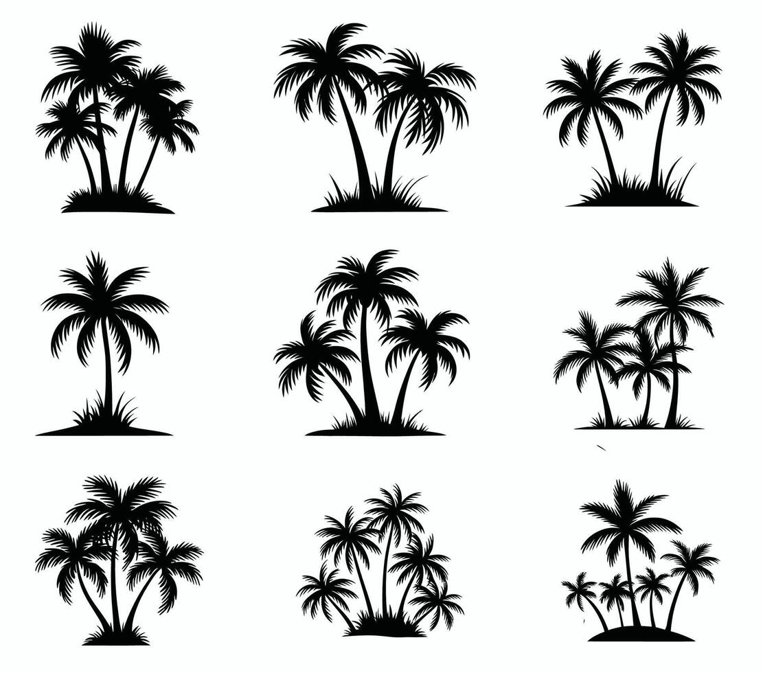 Palm Trees Set Isolated On White Background. Palm Silhouettes. vector