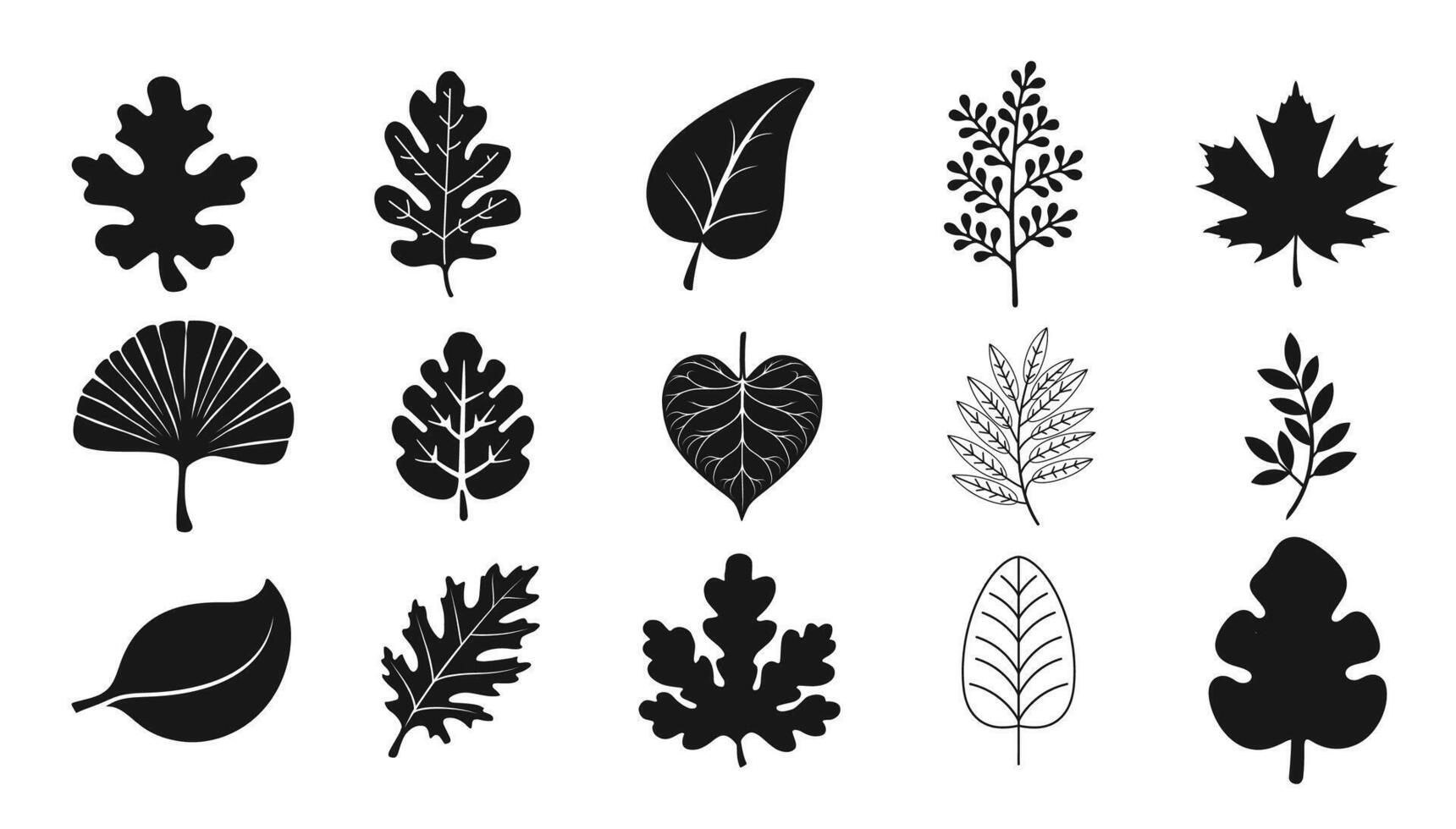 Autumn Leaf Silhouette. Leaf Collection. vector