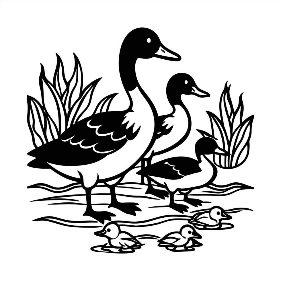 Northern Pintail Duck family male vector