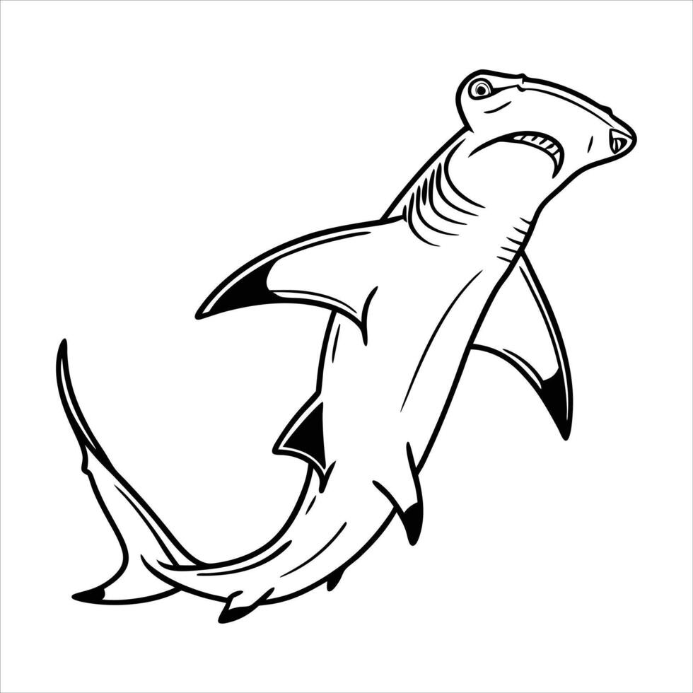 Hammer Head Shark vector