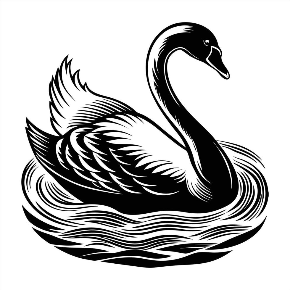 Swans Swimming Pond Ducks vector