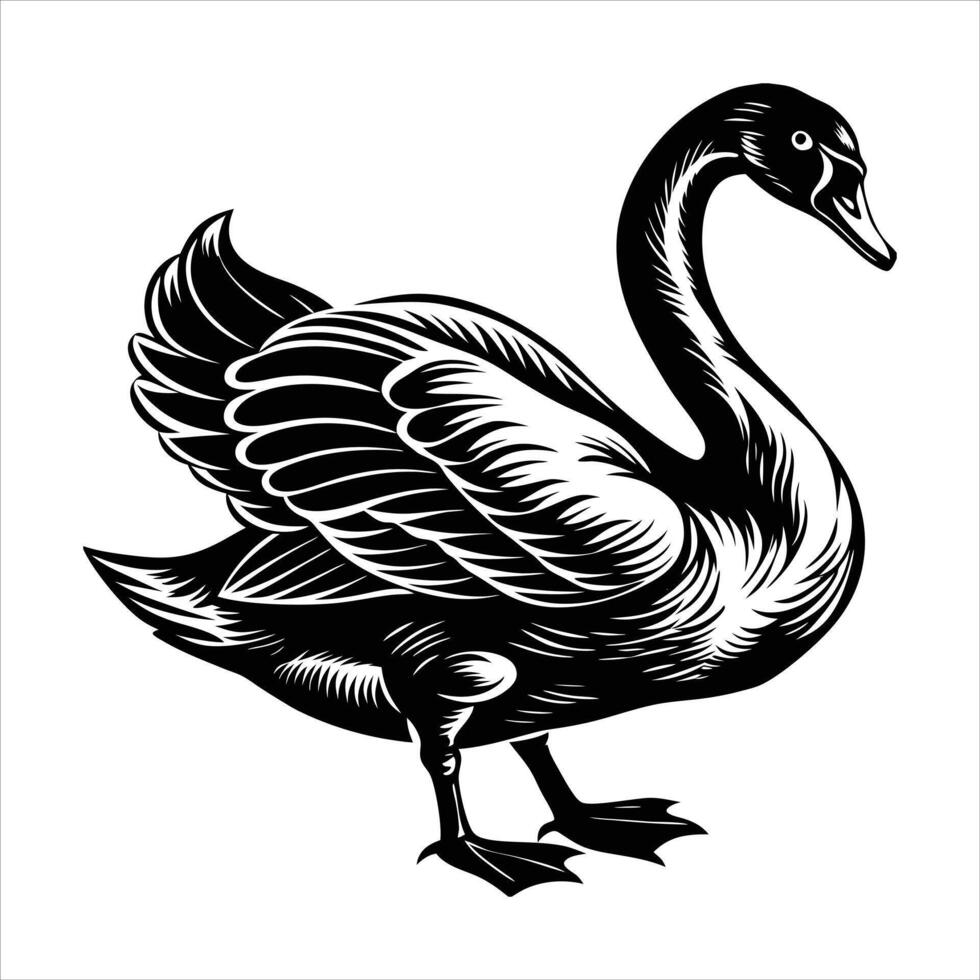 Mute Swan On vector