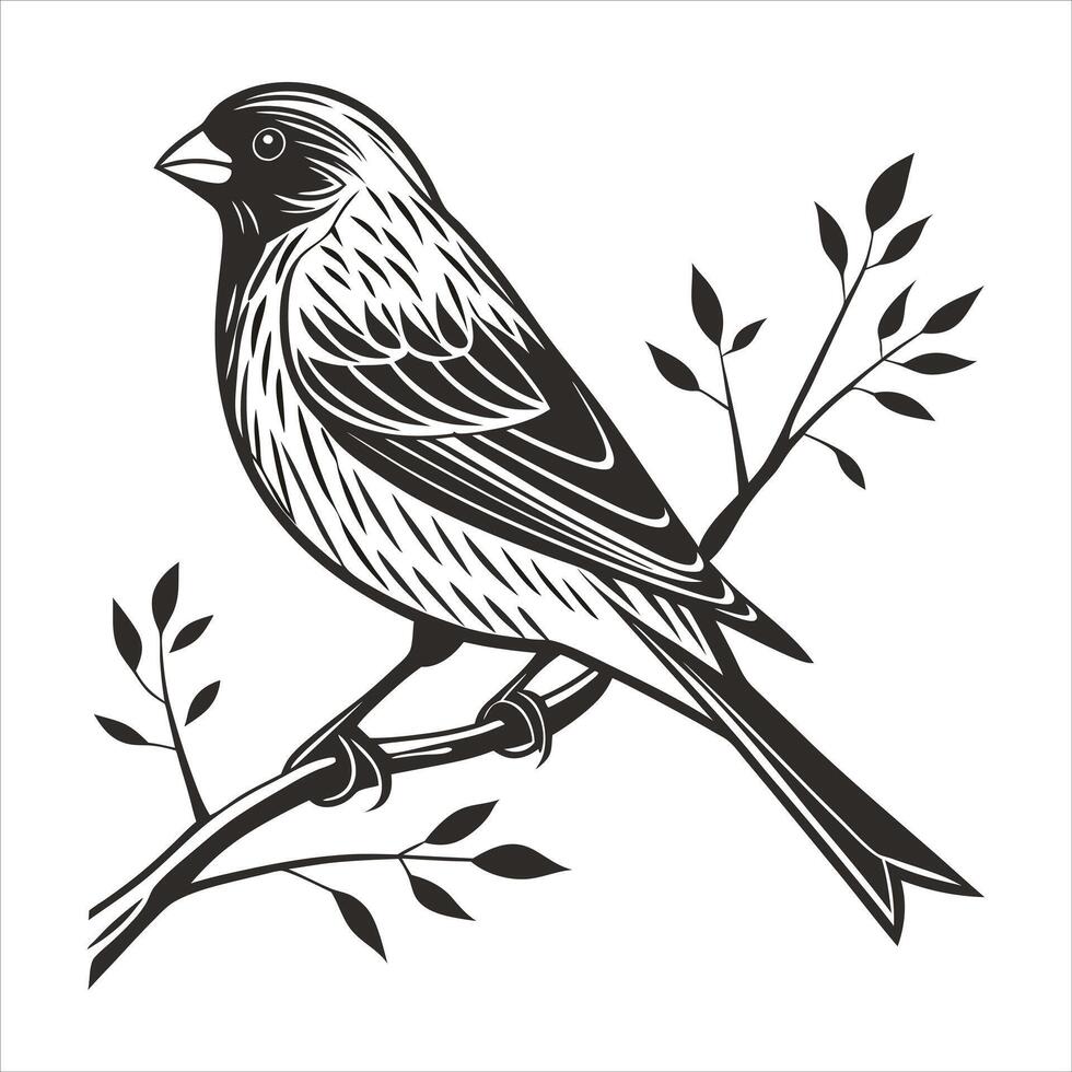 Bird Branch Engraving vector