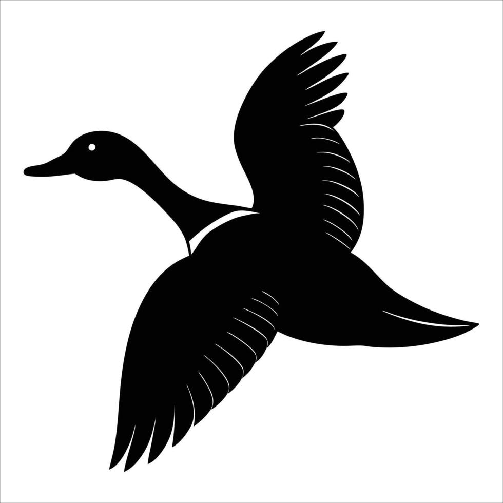 Northern Pintail Silhouette vector