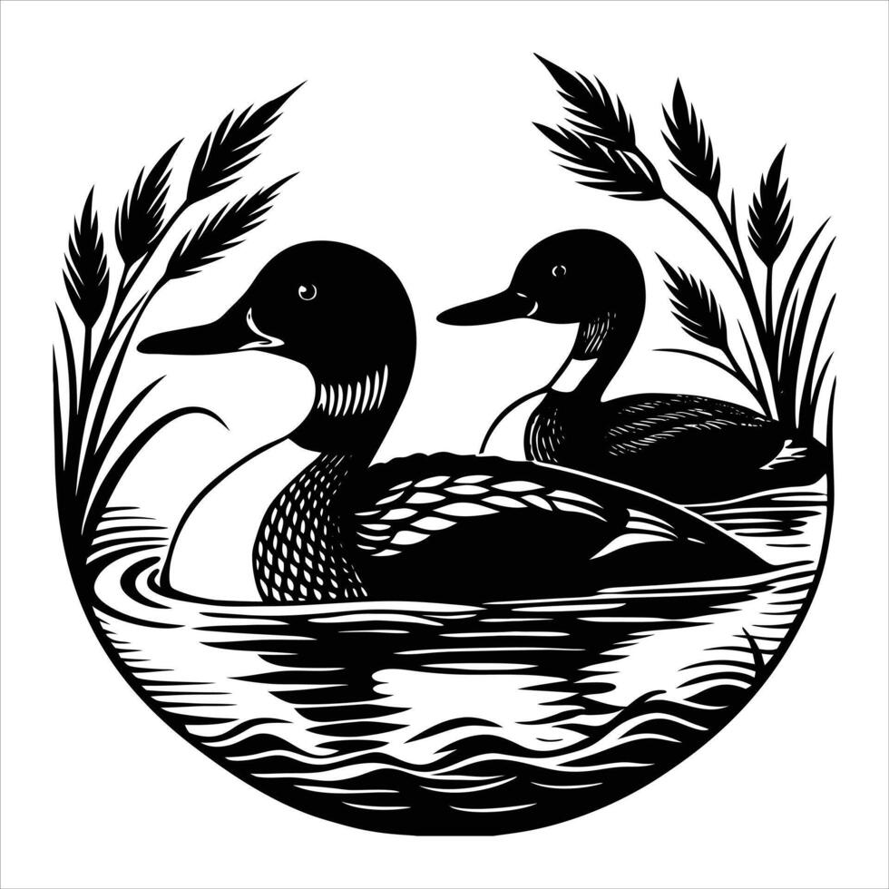 Pintail Ducks Stock Illustration vector