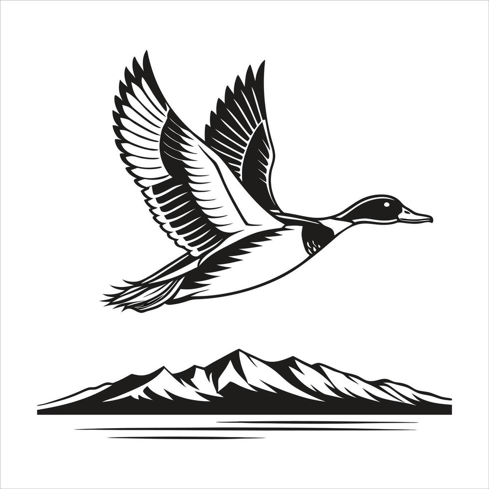 Wild duck icon isolated vector