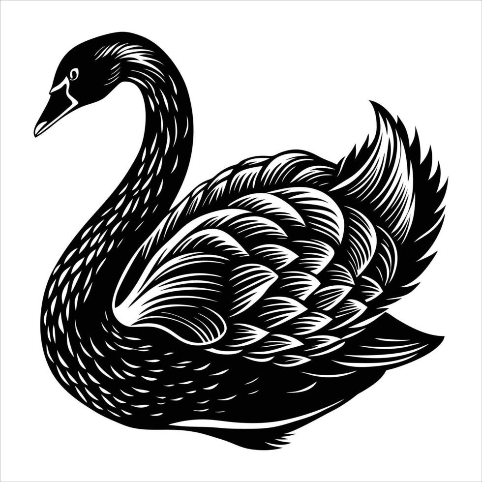 Black Swan Silhouette vector