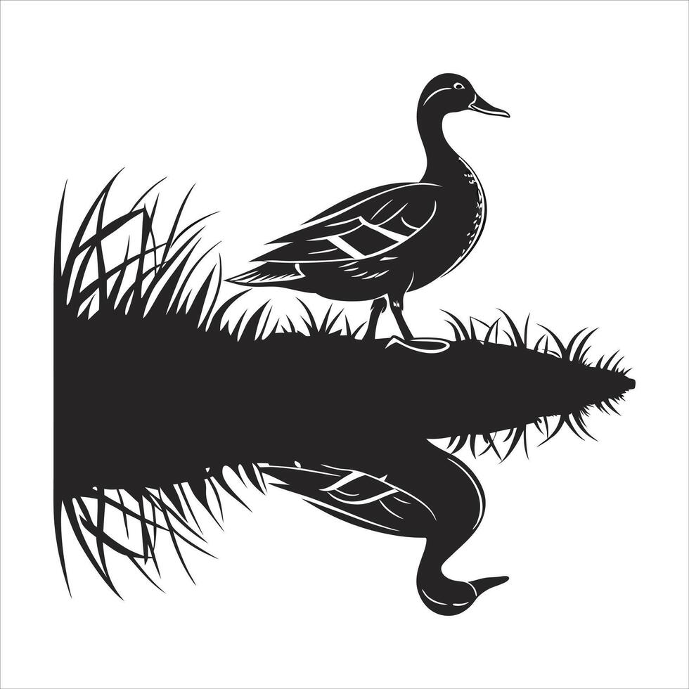 Beautiful reflection a duck vector