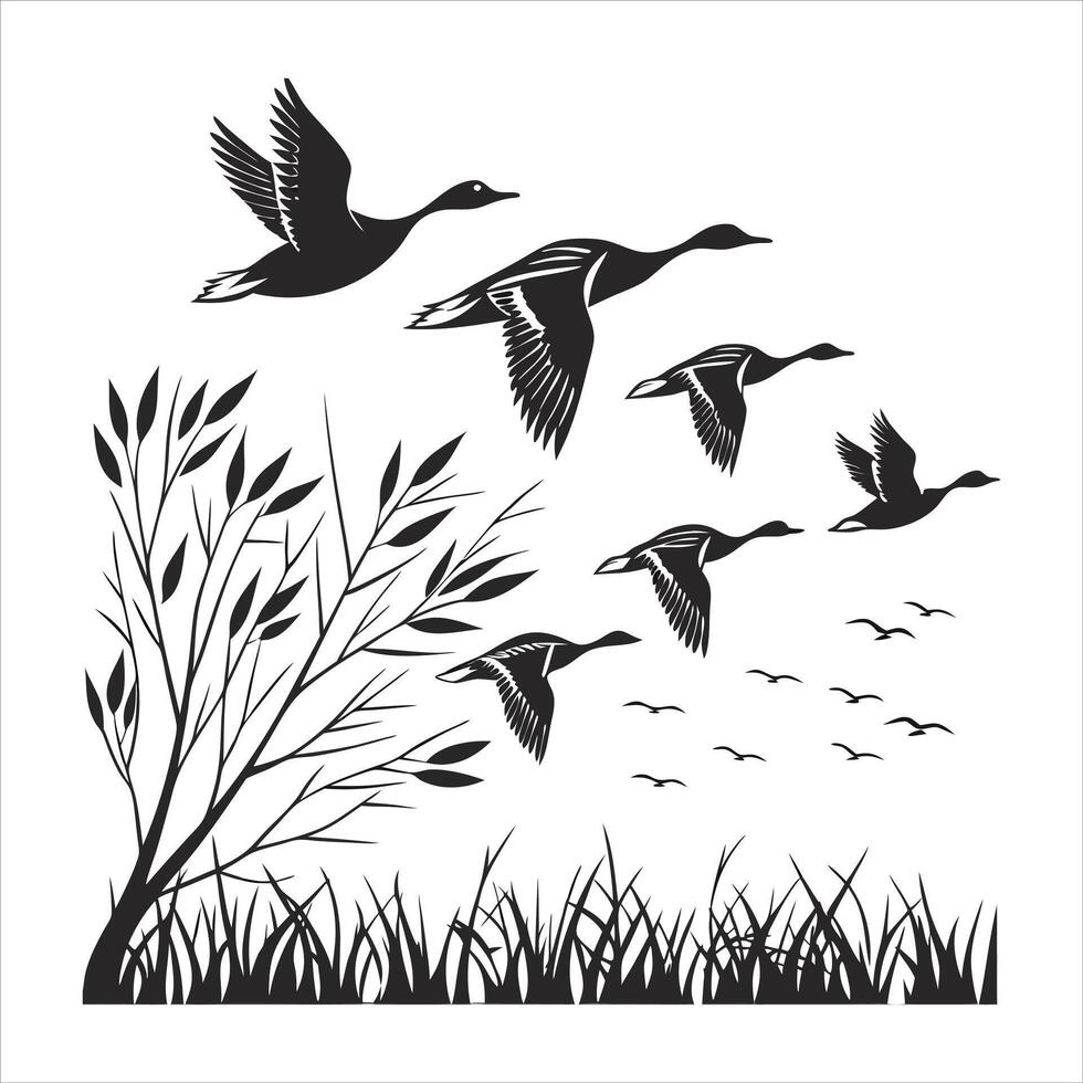 Pintail Flying Stock vector