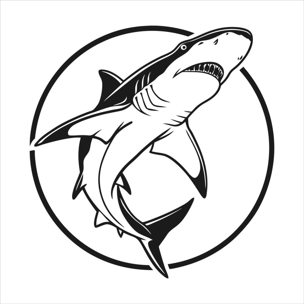 Great white shark illustration vector