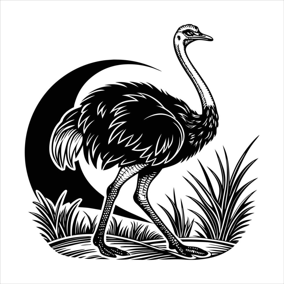 Majestic Ostrich Silhouette, Grace vector