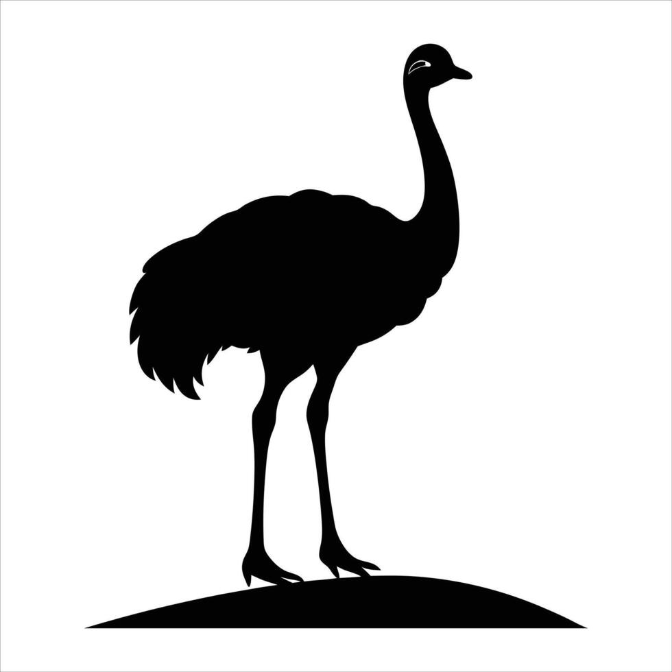 Majestic Ostrich Stock Illustrations vector