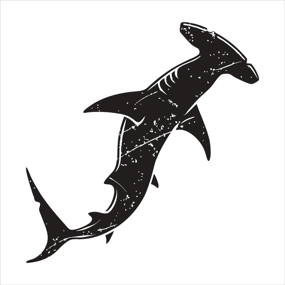 Introduction to Shark Species vector