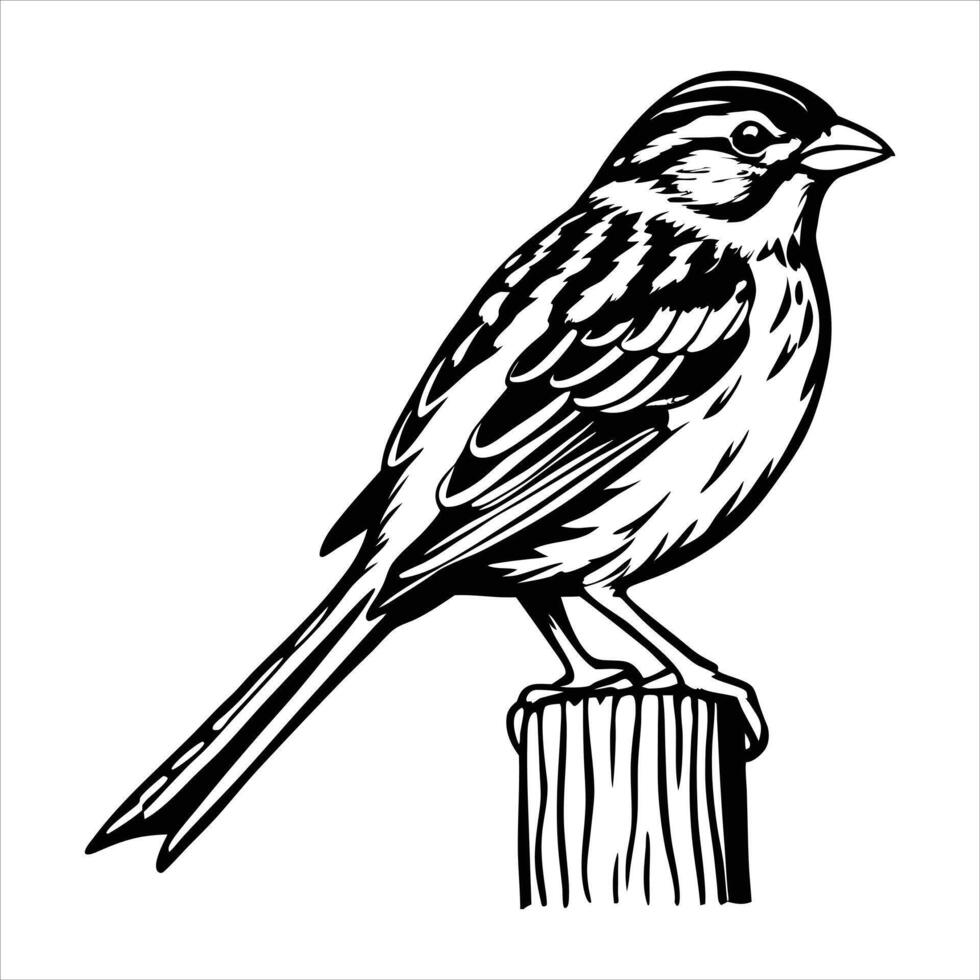 Bird Perched On Fence Post vector
