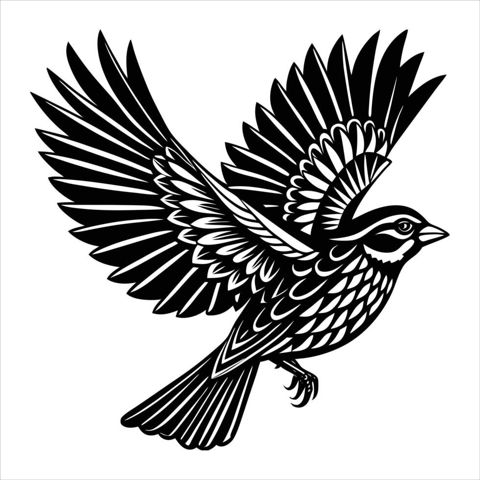 White throated sparrow vector