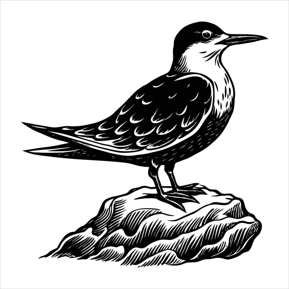 A stylized illustration of a kingfisher vector