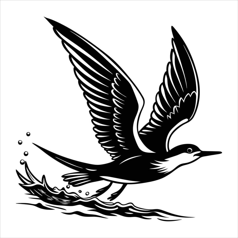 Black skimmer Clip Rynchops niger vector