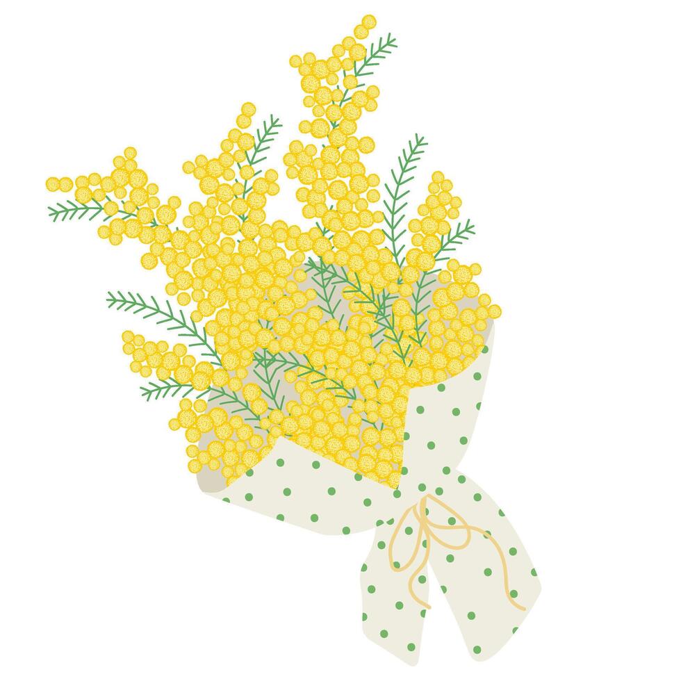 Bouquet of yellow mimosa wrapped in decorative paper with dots, tied with a ribbon. Floral illustration in a soft, elegant style for spring holidays vector