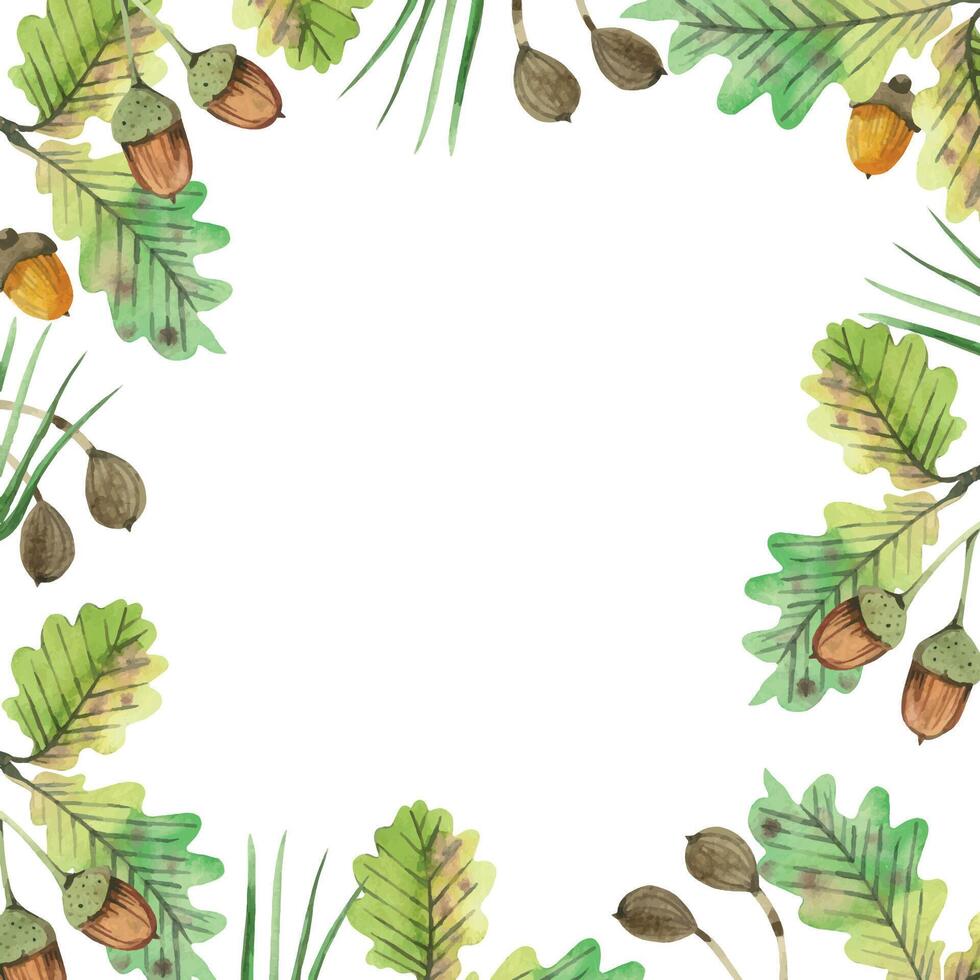Square frame of oak leaves, ripe acorns, pine needles and wild berries. All objects are hand-painted with watercolors. Watercolor illustration. Suitable for printing on fabric, paper, for postcards vector