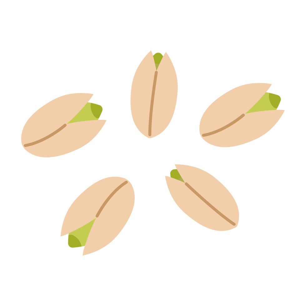 Pistachios, raw gourmet snack and first-class ingredient for desserts. illustration. vector