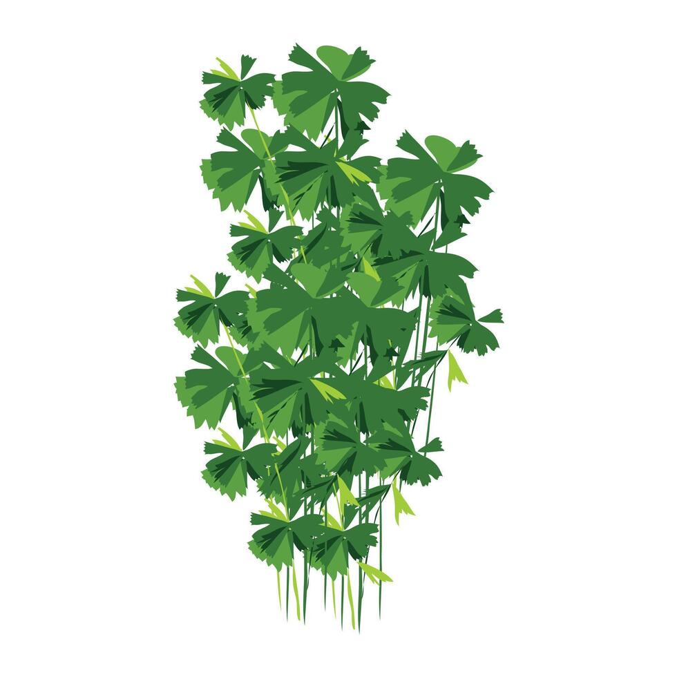 pasley with loaded fresh green leaves clipart design vector