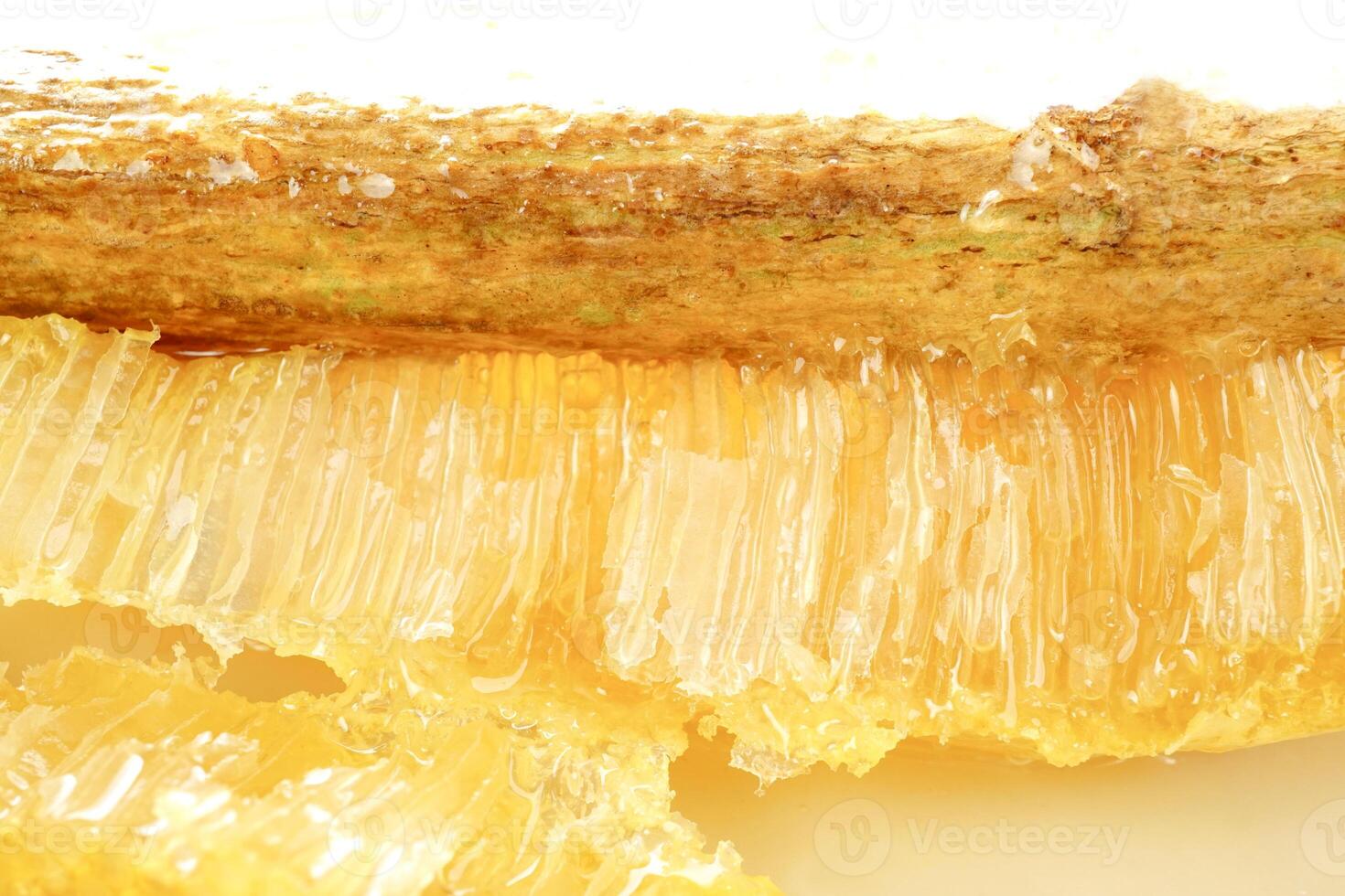 Selective focus, Honeycombs on wood stick in a beehive on white background. Beekeeping, breeding and keeping bees. photo