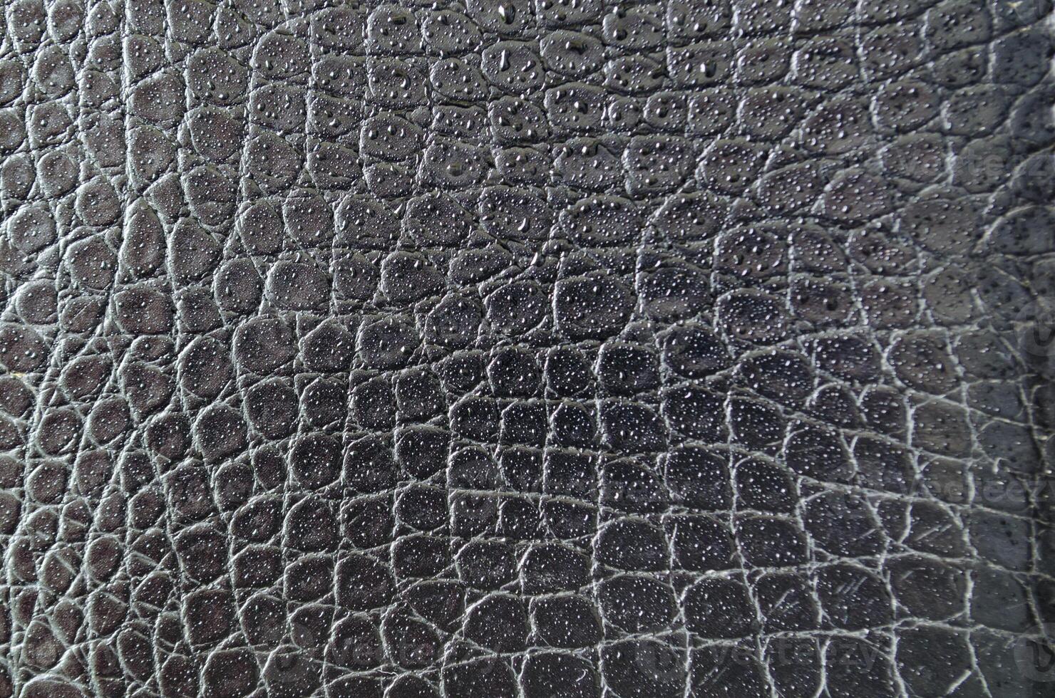 Top view of wet black crocodile leather skin background with customizable space for text or for mockup photo